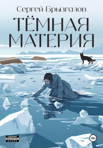 Обложка книги «Тёмная материя»