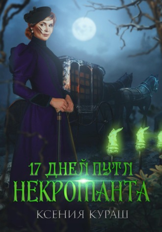 Обложка книги «17 дней пути некроманта»