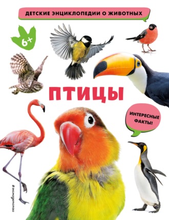 Обложка книги «Птицы»