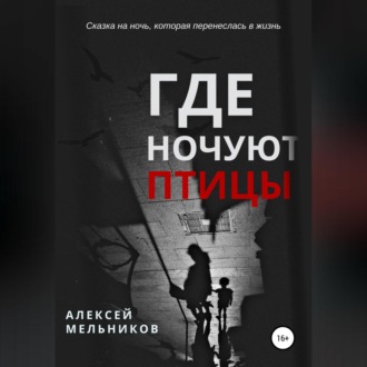 Обложка книги «Где ночуют птицы»