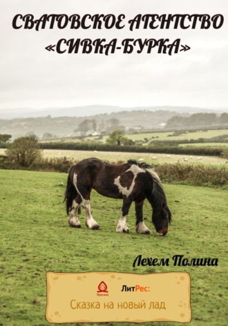 Обложка книги «Сватовское агентство «Сивка-Бурка»»