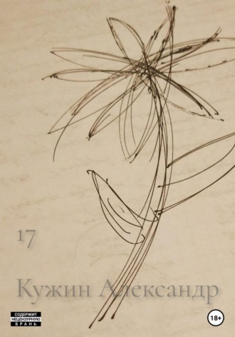 Обложка книги «17»
