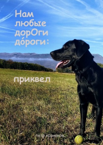 Обложка книги «Нам любые дoрОги дOрoги: приквел»