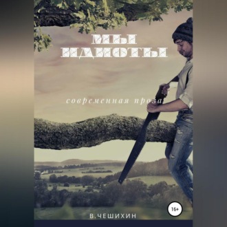 Обложка книги «Мы идиоты»