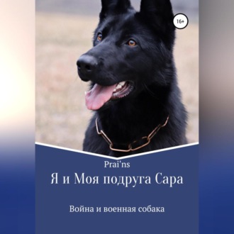 Обложка книги «Я и Моя подруга Сара»