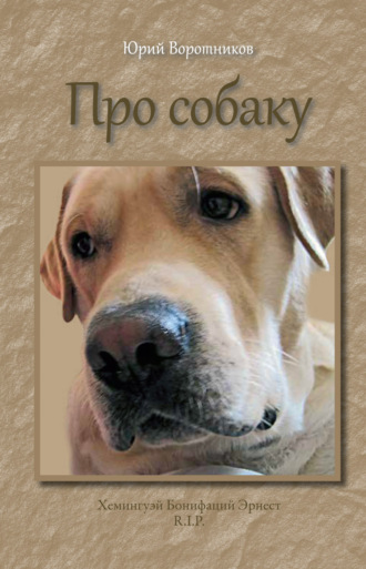 Обложка книги «Про собаку»