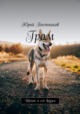 Обложка книги «Гром. Щенок и его друзья»