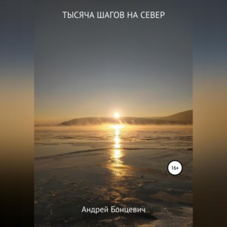 Обложка книги «Тысяча шагов на север»