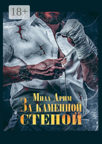 Обложка книги «За каменной стеной»