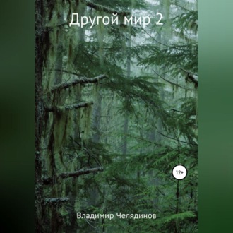 Обложка книги «Другой мир 2»