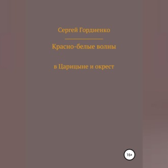 Обложка книги «Красно-белые волны в Царицыне и окрест»