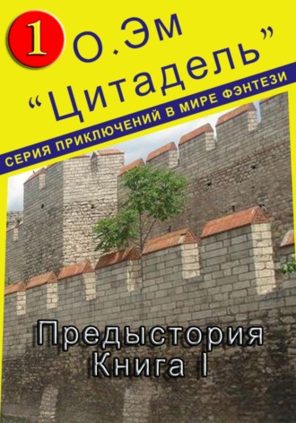 О. Эм. Цитадель. Предыстория (Книга 1)