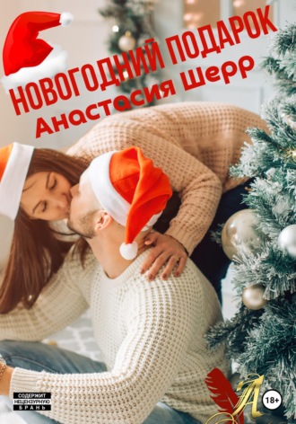 Обложка книги «Новогодний подарок»