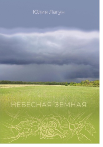 Обложка книги «Небесная земная»