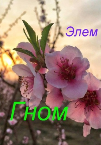 Обложка книги «Гном»