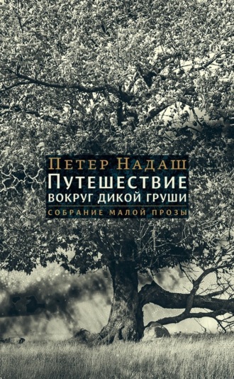 Обложка книги «Путешествие вокруг дикой груши»