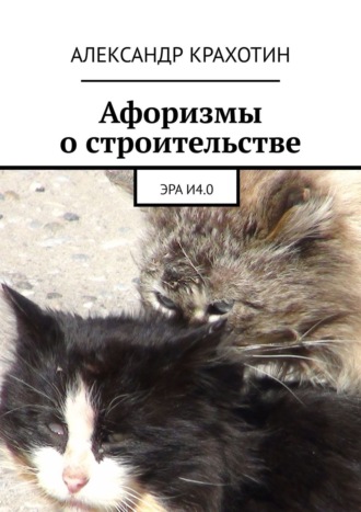 Обложка книги «Афоризмы о строительстве. Эра И4.0»