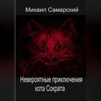 Обложка книги «Невероятные приключения кота Сократа»