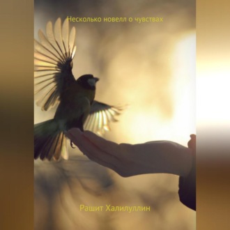 Обложка книги «Несколько новелл о чувствах»