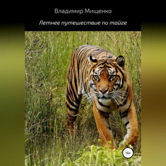 Обложка книги «Летнее путешествие по тайге»