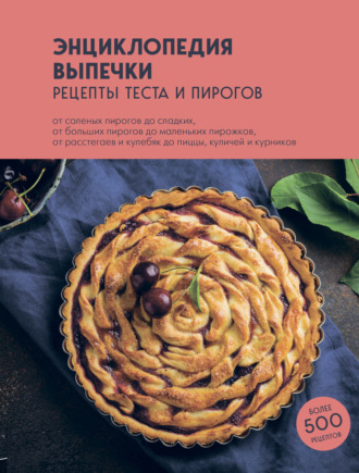 Обложка книги «Энциклопедия выпечки. Рецепты теста и пирогов»