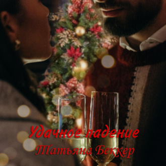 Обложка книги «Удачное падение»