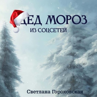 Обложка книги «Дед Мороз из соцсетей»