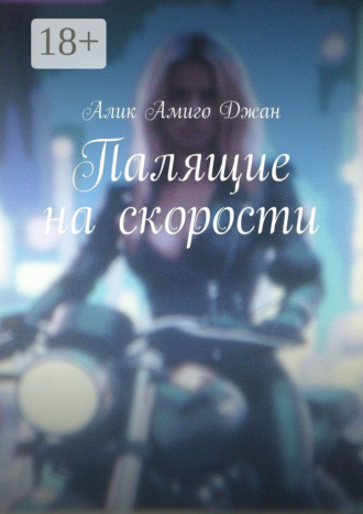 Обложка книги «Палящие на скорости»