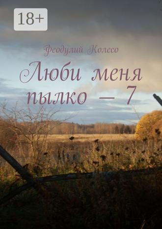 Обложка книги «Люби меня пылко»