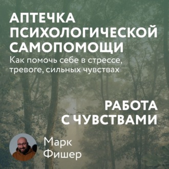 Обложка книги «Аптечка психологической самопомощи: Работа с чувствами»