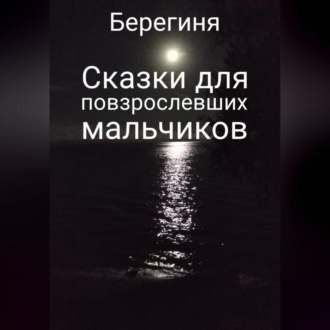 Обложка книги «Сказки для повзрослевших мальчиков»