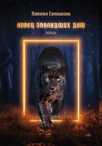 Обложка книги «Ловец заблудших душ»