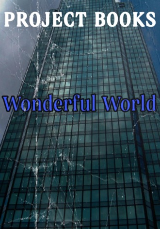 Обложка книги «Wonderful World»