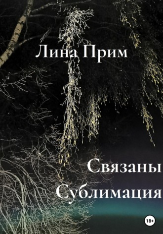 Обложка книги «Связаны. Сублимация»