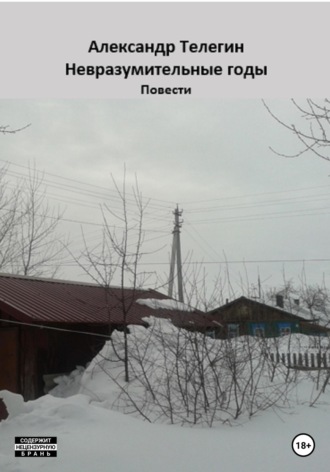 Обложка книги «Невразумительные годы»