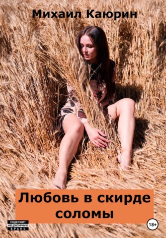 Обложка книги «Любовь в скирде соломы»