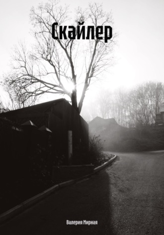 Обложка книги «Скайлер»