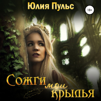 Обложка книги «Сожги мои крылья»