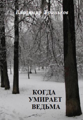Обложка книги «Когда умирает ведьма»