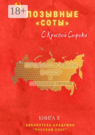 Обложка книги «Позывные «Соты». С Красной Строки. Книга II»