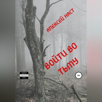 Обложка книги «Войти во тьму»