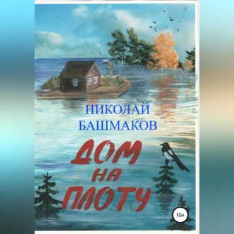 Обложка книги «Дом на плоту»