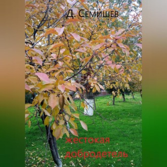 Обложка книги «Жестокая добродетель»
