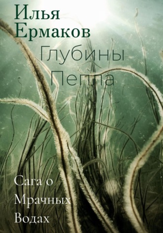 Обложка книги «Сага о Мрачных Водах. Глубины Пепла»