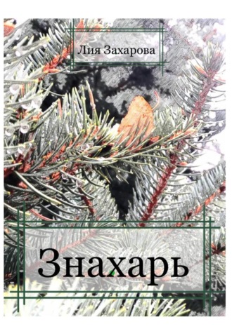 Обложка книги «Знахарь»