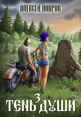 Обложка книги «Тень души 3»