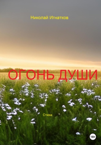 Обложка книги «Огонь души»