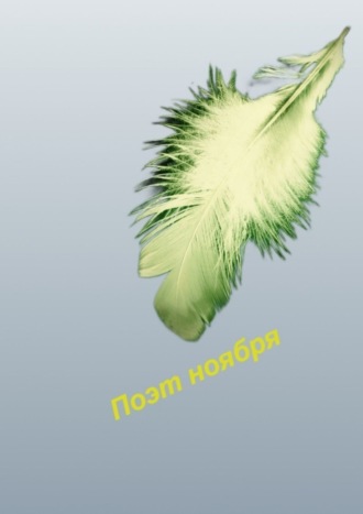 Обложка книги «Поэт ноября»