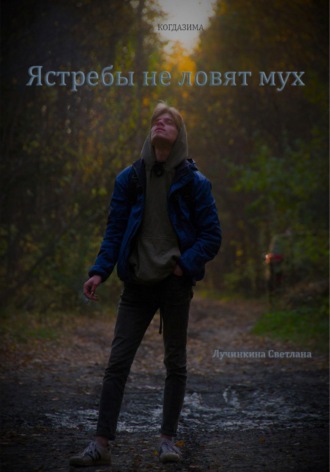 Обложка книги «Ястребы не ловят мух»