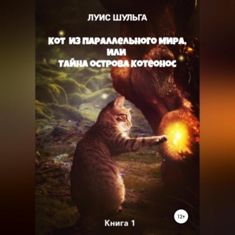 Обложка книги «Кот из параллельного мира, или Тайна острова Котеонос»